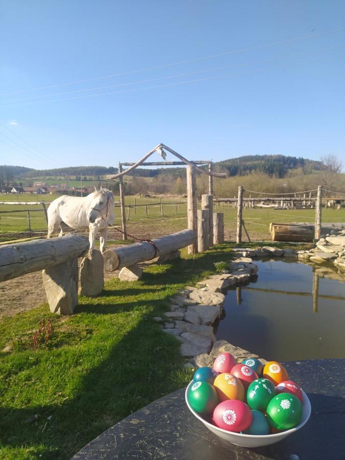 Podkrovni Apartman Pololan U Rybnika Nova Ves  Exterior photo